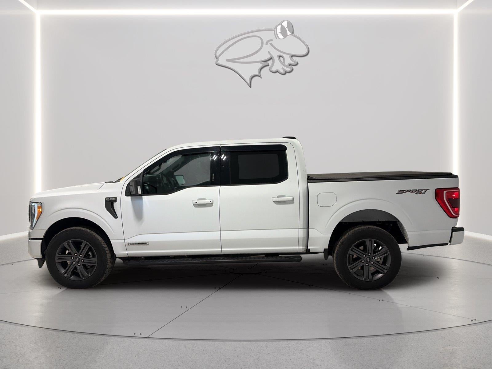 ford f-150 2023 1FTFW1ED0PFC75241 image ford f-150 2023 1FTFW1ED0PFC75241 image