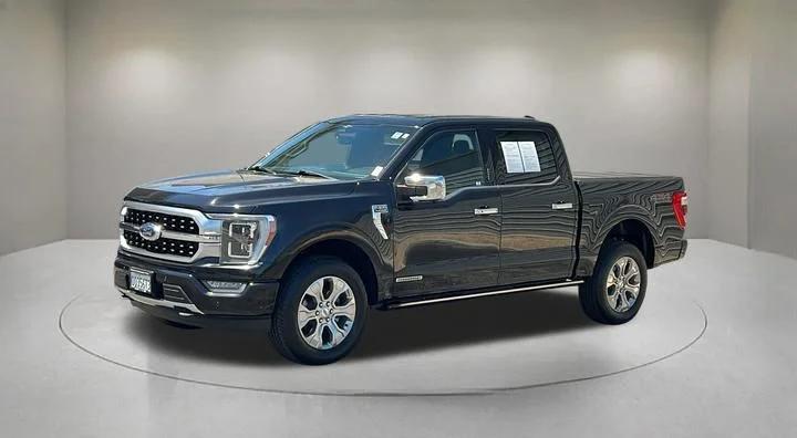 ford f-150 2023 1FTFW1ED0PFA04101 image ford f-150 2023 1FTFW1ED0PFA04101 image