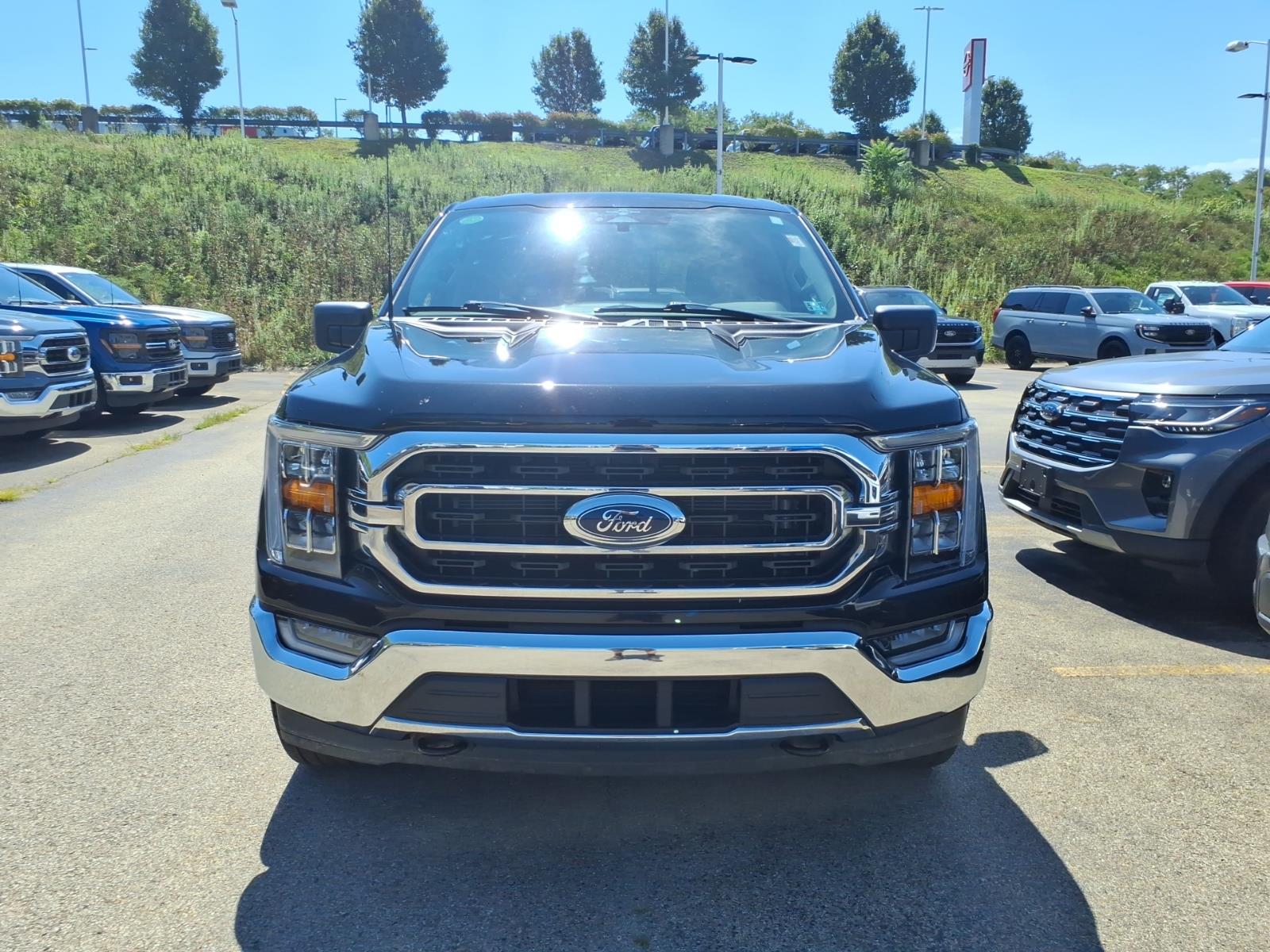 ford f-150 2023 1FTEW1EP6PFD33696 image ford f-150 2023 1FTEW1EP6PFD33696 image