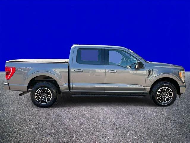 ford f-150 2023 1FTEW1EP2PKE34175 image ford f-150 2023 1FTEW1EP2PKE34175 image