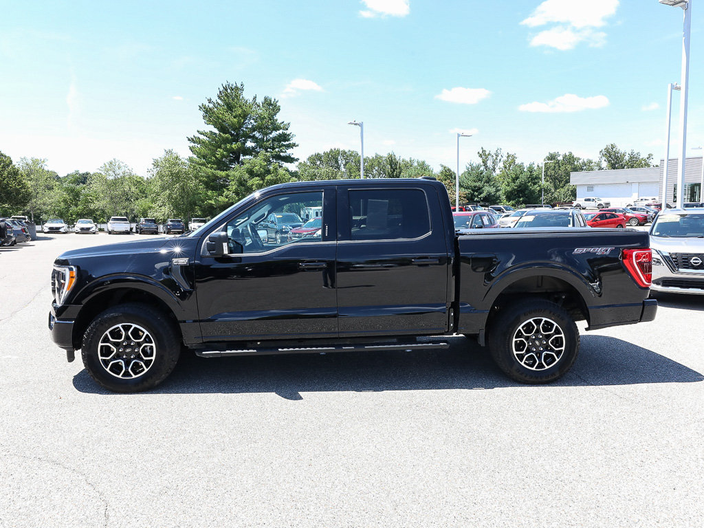 ford f-150 2023 1FTEW1EP1PFD33847 image ford f-150 2023 1FTEW1EP1PFD33847 image