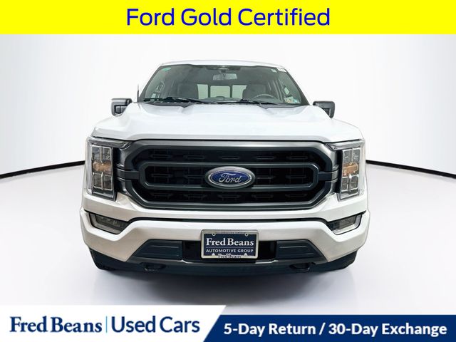 ford f-150 2023 1FTFW1E80PFA69226 image ford f-150 2023 1FTFW1E80PFA69226 image