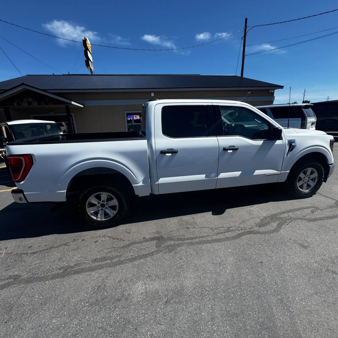 ford f-150 2023 1FTFW1ED9PFC32646 image ford f-150 2023 1FTFW1ED9PFC32646 image