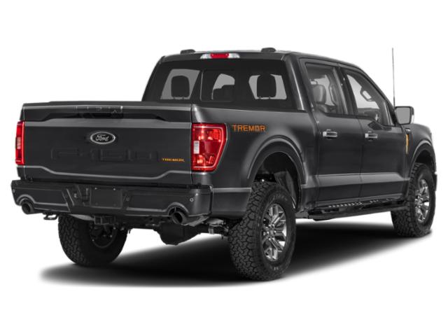 ford f-150 2023 1FTEW1E89PFC59229 image ford f-150 2023 1FTEW1E89PFC59229 image