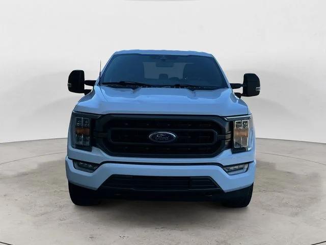 ford f-150 2023 1FTFW1E55PKD16253 image ford f-150 2023 1FTFW1E55PKD16253 image