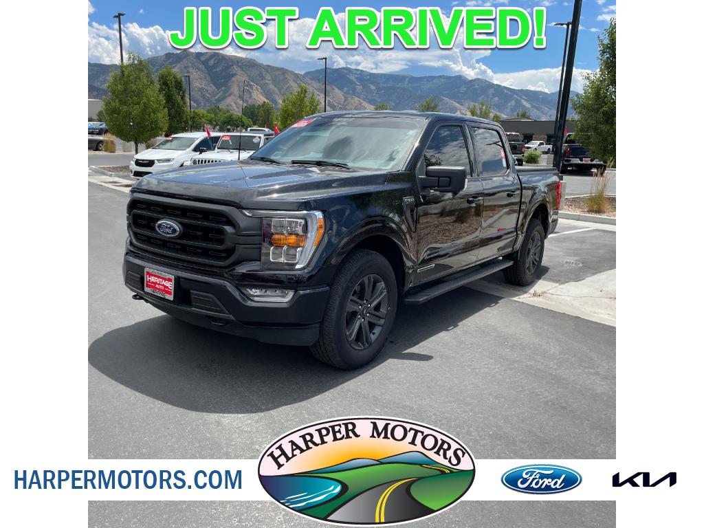 ford f-150 2023 1FTFW1ED4PFD06216 image ford f-150 2023 1FTFW1ED4PFD06216 image