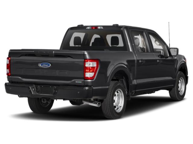 ford f-150 2023 1FTEW1EP0PKF87203 image ford f-150 2023 1FTEW1EP0PKF87203 image