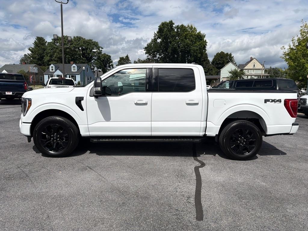ford f-150 2023 1FTEW1EP2PFC82343 image ford f-150 2023 1FTEW1EP2PFC82343 image
