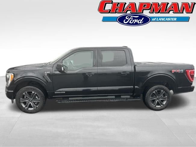 ford f-150 2023 1FTFW1ED9PFB40825 image ford f-150 2023 1FTFW1ED9PFB40825 image