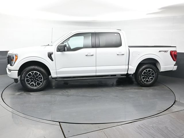 ford f-150 2023 1FTEW1EP7PFA78461 image ford f-150 2023 1FTEW1EP7PFA78461 image