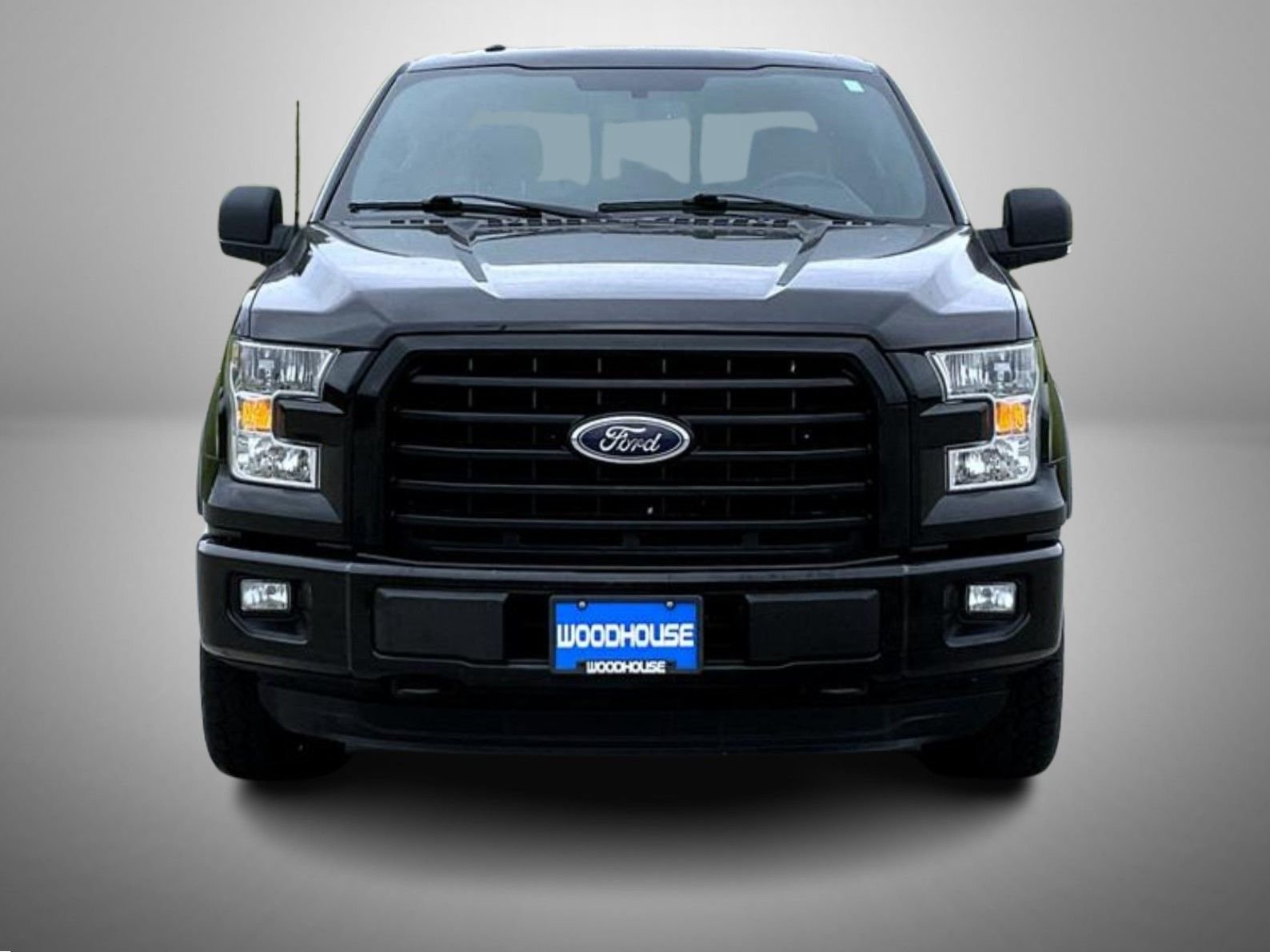 ford f-150 2016 1FTEW1EG5GKE44389 image ford f-150 2016 1FTEW1EG5GKE44389 image