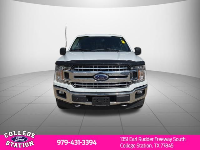 ford f-150 2019 1FTEW1E40KKE48137 image ford f-150 2019 1FTEW1E40KKE48137 image
