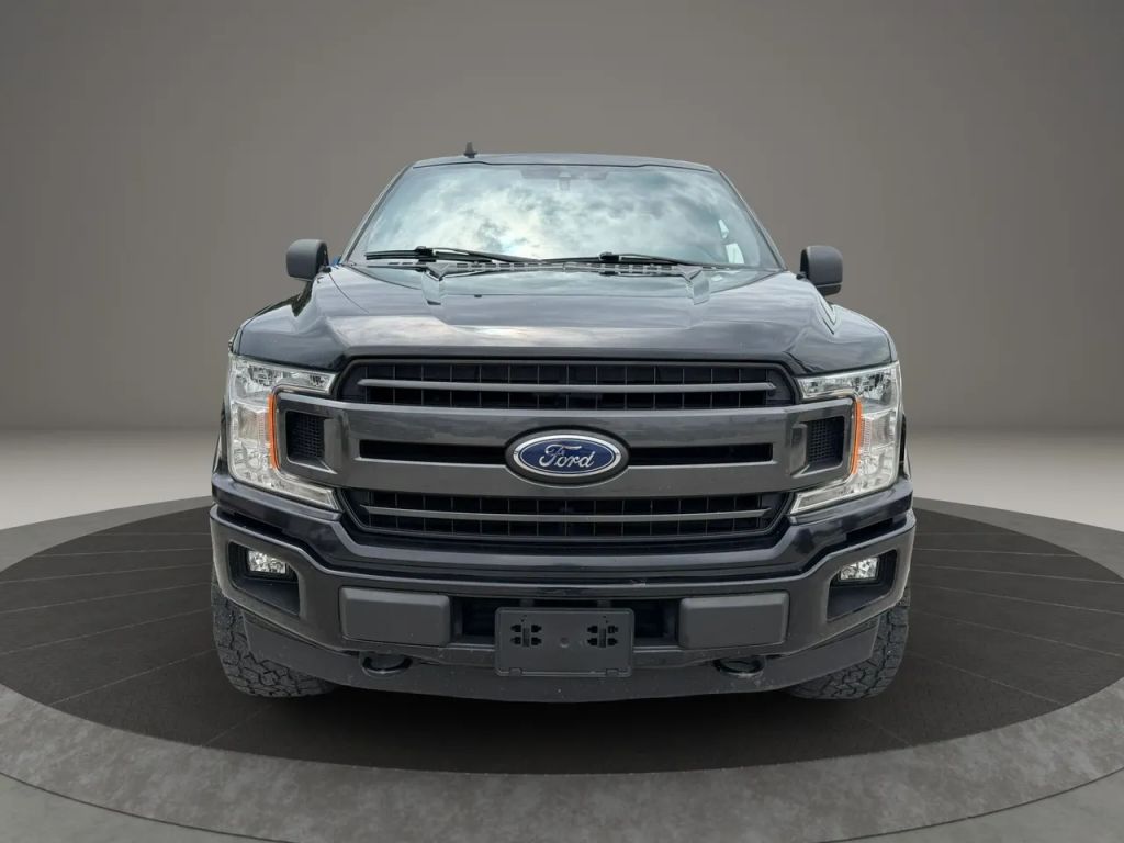 ford f-150 2019 1FTEW1E46KKE59045 image ford f-150 2019 1FTEW1E46KKE59045 image