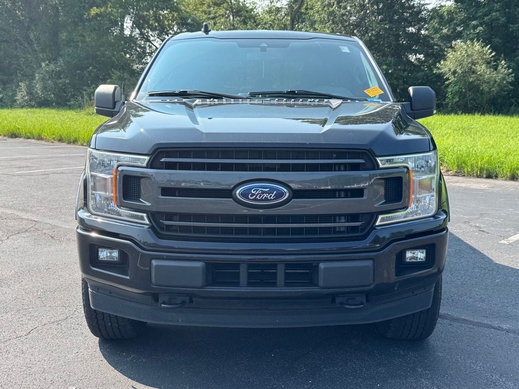 ford f-150 2019 1FTEW1EP7KFD43498 image ford f-150 2019 1FTEW1EP7KFD43498 image