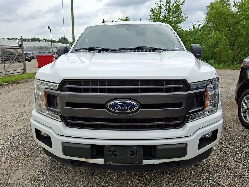 ford f-150 2019 1FTEW1EP3KFB10704 image ford f-150 2019 1FTEW1EP3KFB10704 image