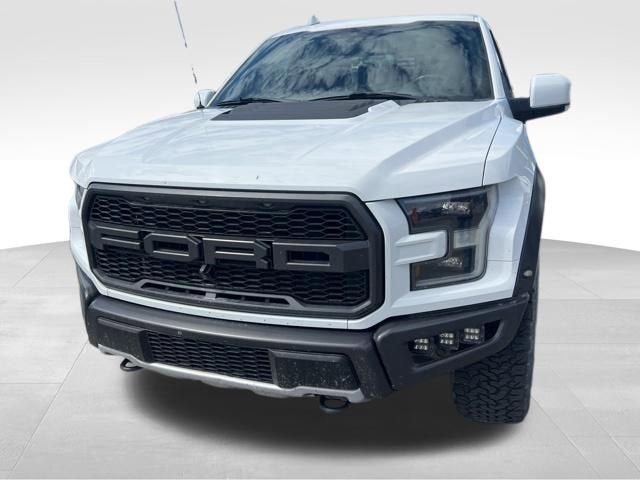 ford f-150 2019 1FTFW1RG7KFA63255 image ford f-150 2019 1FTFW1RG7KFA63255 image