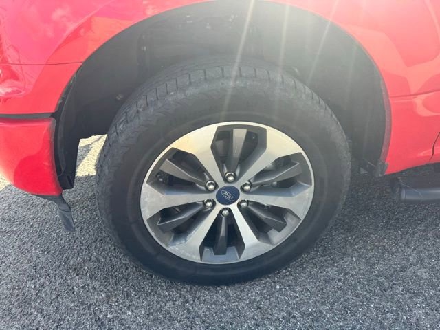 ford f-150 2019 1FTEW1EP0KKD21687 image ford f-150 2019 1FTEW1EP0KKD21687 image