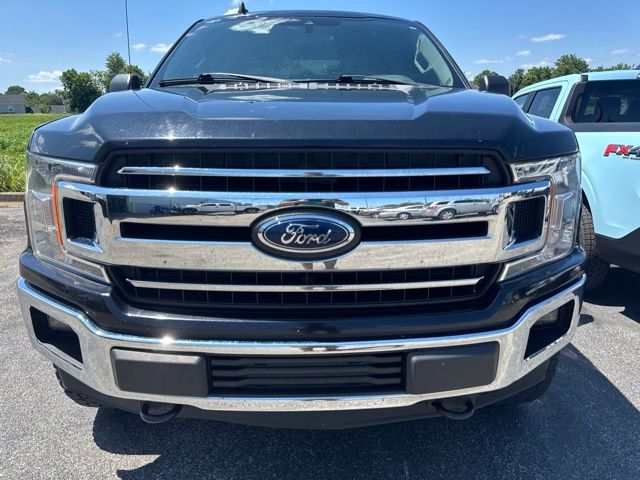 ford f-150 2019 1FTEW1E5XKFA66599 image ford f-150 2019 1FTEW1E5XKFA66599 image