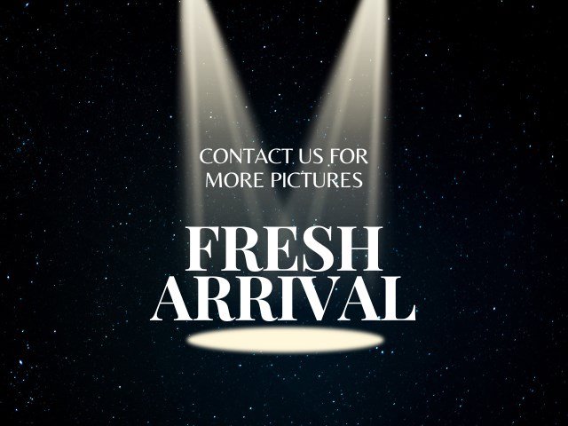 ford f-150 2019 1FTEW1E4XKFB19177 image ford f-150 2019 1FTEW1E4XKFB19177 image