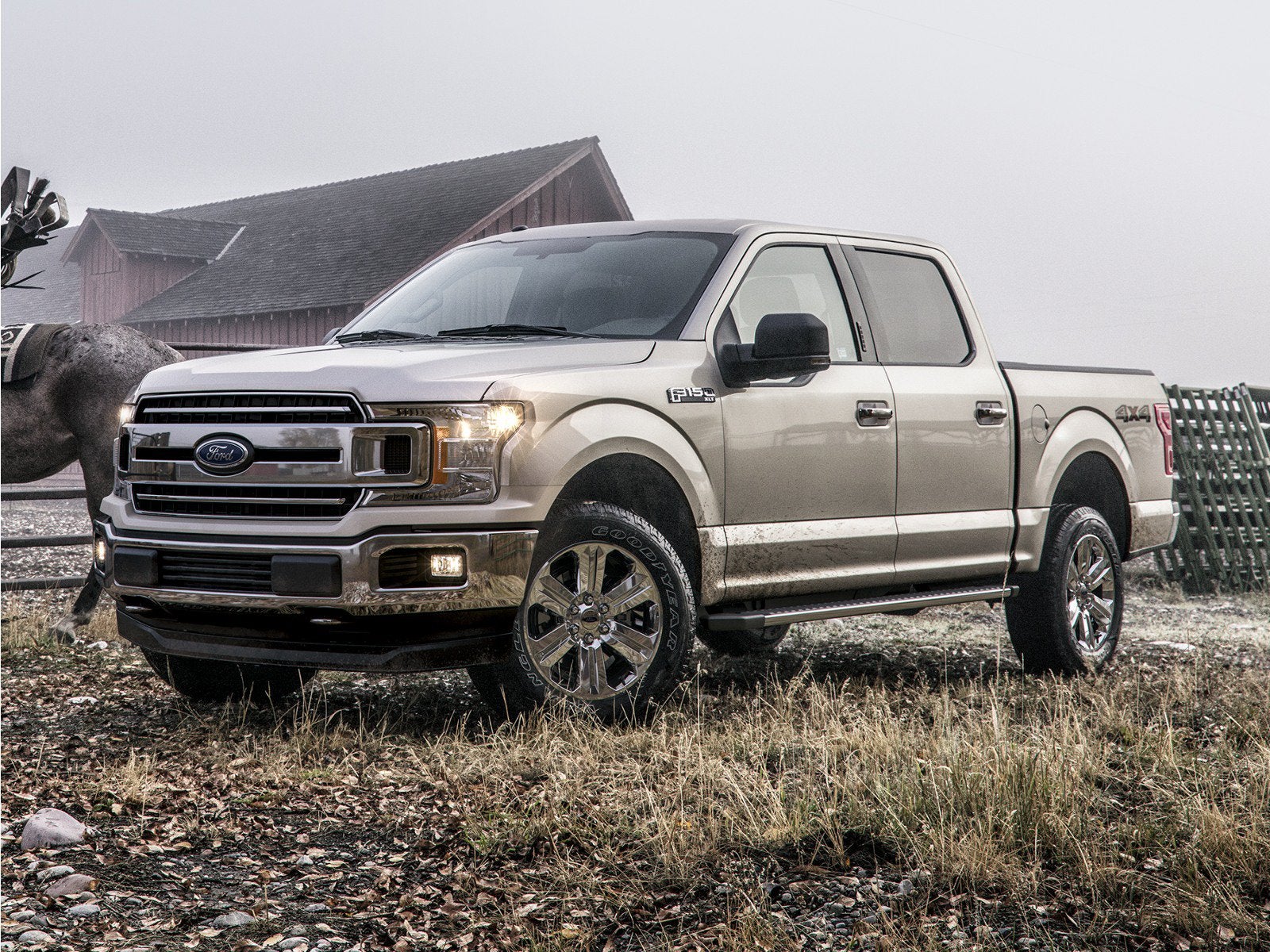 ford f-150 2019 1FTEW1E45KFC57855 image ford f-150 2019 1FTEW1E45KFC57855 image