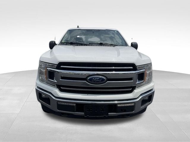 ford f-150 2019 1FTEW1EP9KKE53797 image ford f-150 2019 1FTEW1EP9KKE53797 image