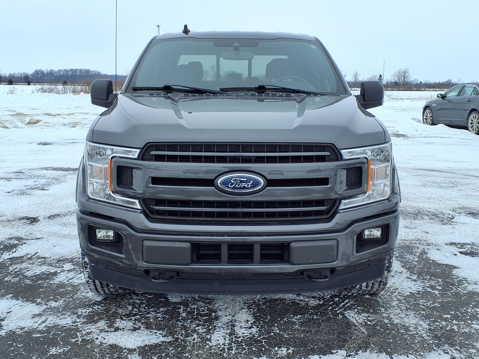 ford f-150 2019 1FTEW1E42KFD43446 image ford f-150 2019 1FTEW1E42KFD43446 image