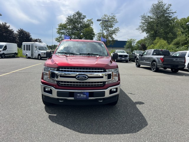 ford f-150 2019 1FTEW1EP8KFB09497 image ford f-150 2019 1FTEW1EP8KFB09497 image