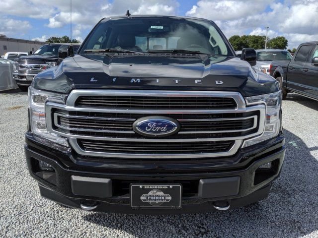 ford f-150 2019 1FTEW1EG3KFD50206 image