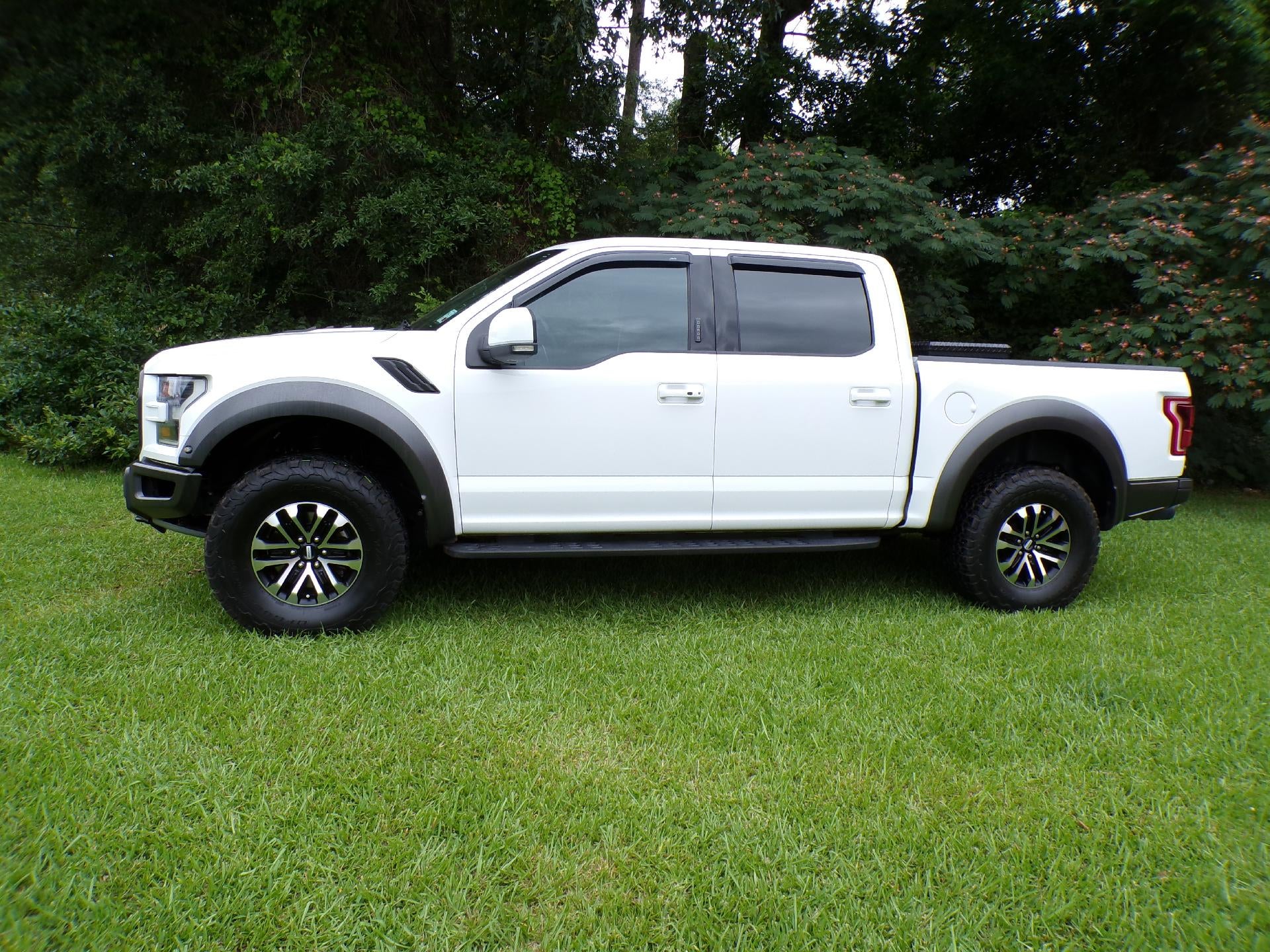 ford f-150 2019 1FTFW1RG7KFC53041 image ford f-150 2019 1FTFW1RG7KFC53041 image