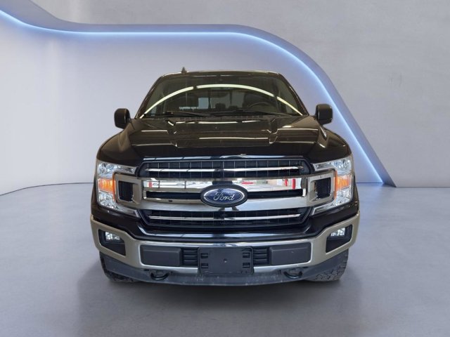 ford f-150 2019 1FTEW1E53KFC48340 image ford f-150 2019 1FTEW1E53KFC48340 image