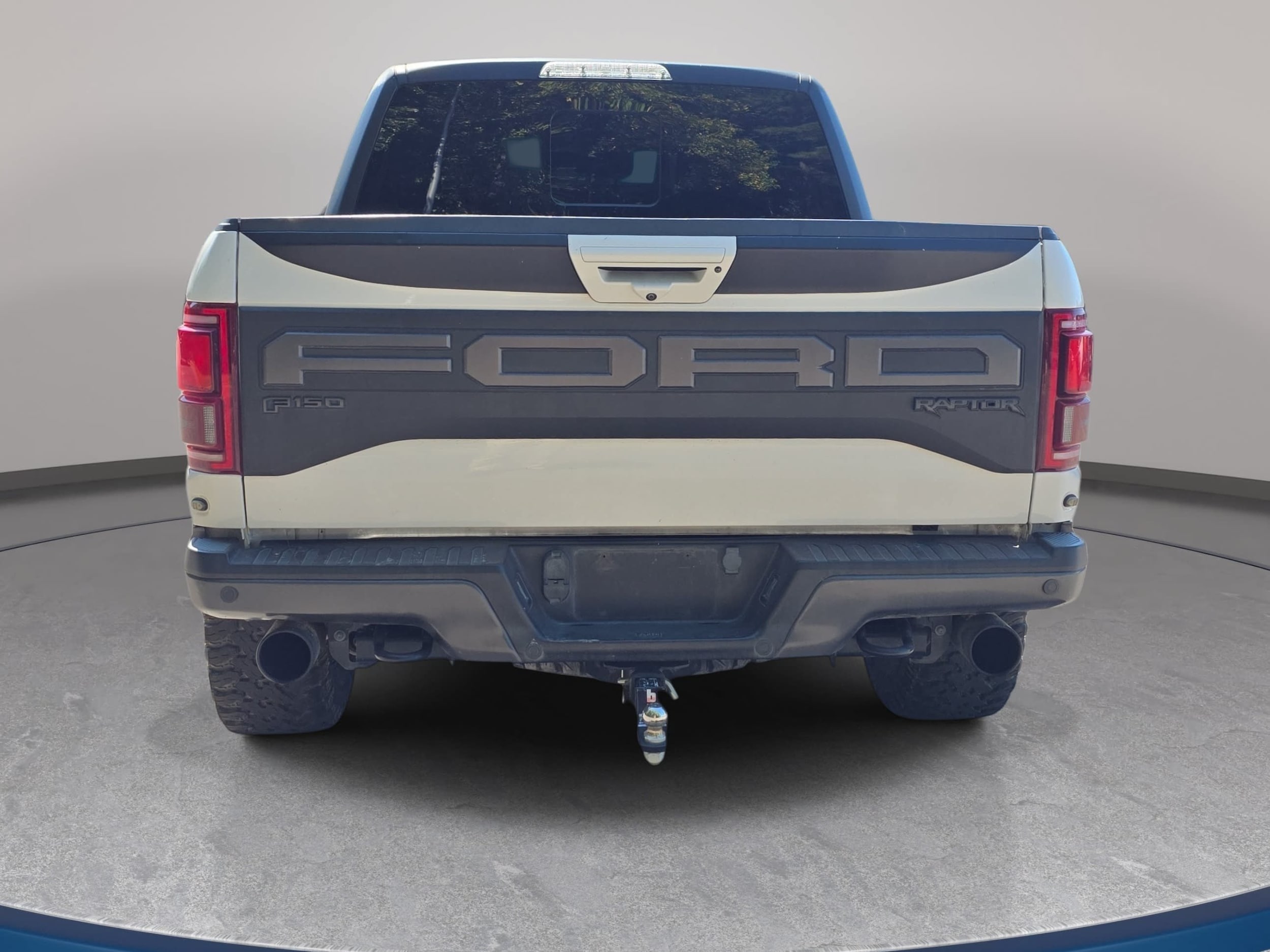 ford f-150 2019 1FTFW1RG2KFA74213 image ford f-150 2019 1FTFW1RG2KFA74213 image
