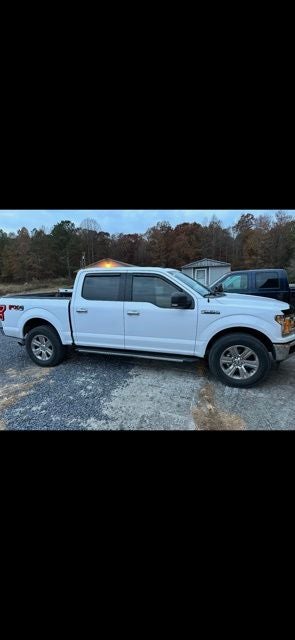 ford f-150 2019 1FTEW1E41KKD54719 image ford f-150 2019 1FTEW1E41KKD54719 image