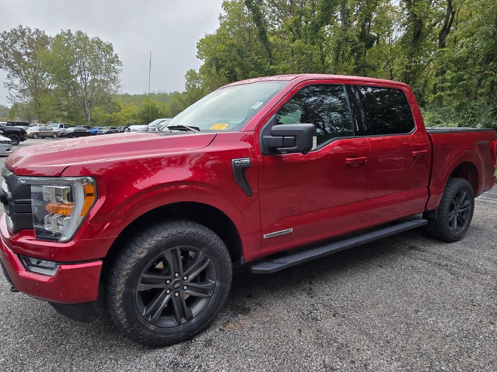 ford f-150 2021 1FTFW1ED1MFB13291 image ford f-150 2021 1FTFW1ED1MFB13291 image