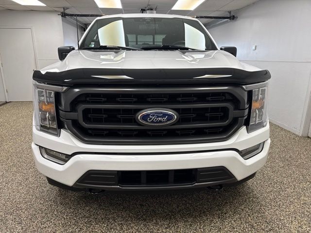 ford f-150 2021 1FTEW1EP8MFC43669 image ford f-150 2021 1FTEW1EP8MFC43669 image