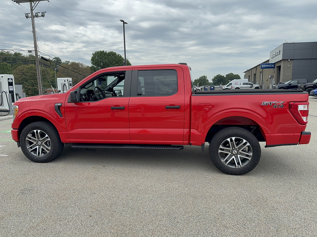 ford f-150 2021 1FTEW1EP2MKD07549 image ford f-150 2021 1FTEW1EP2MKD07549 image