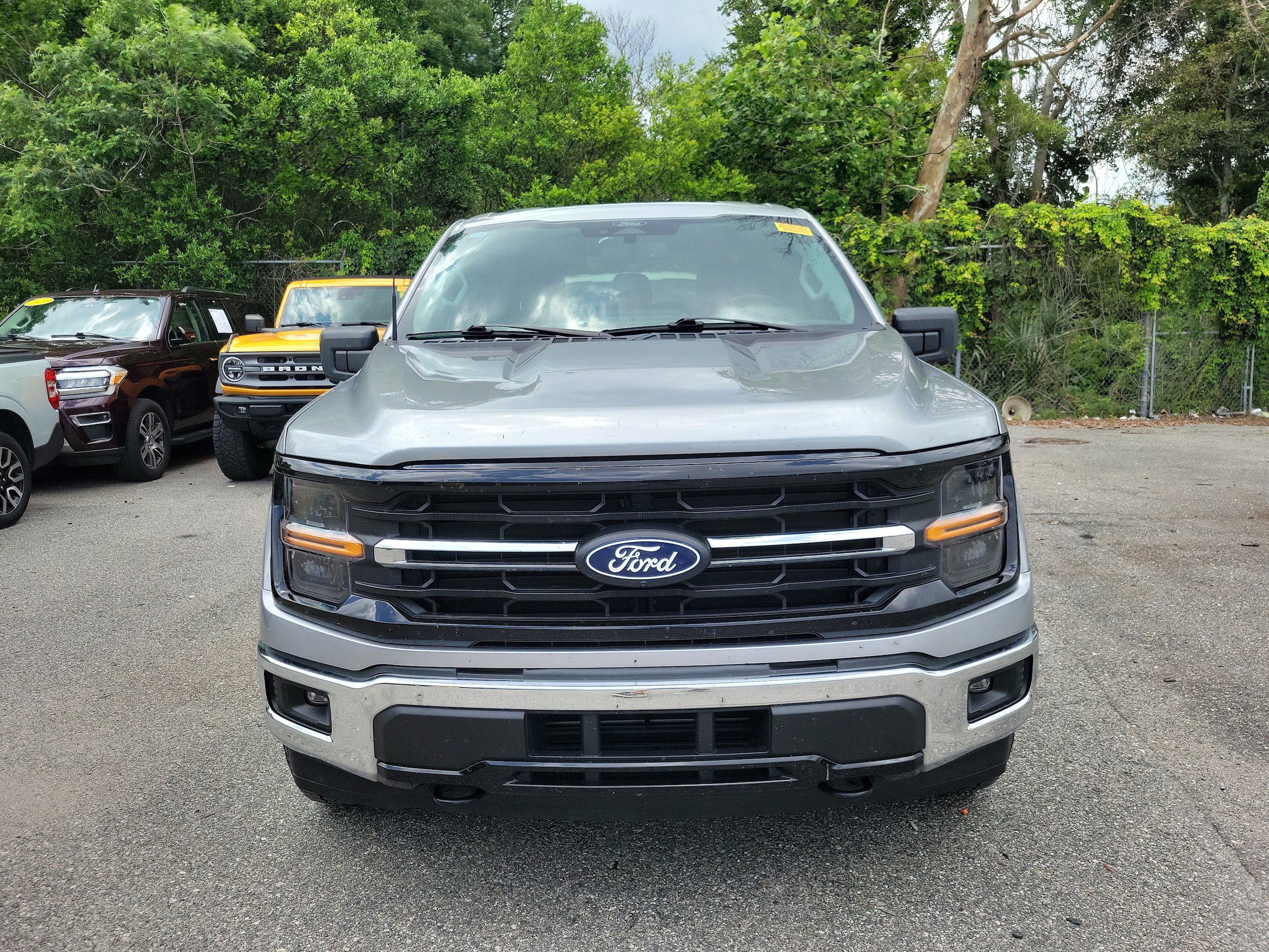ford f-150 2024 1FTFW3L8XRKD43461 image ford f-150 2024 1FTFW3L8XRKD43461 image