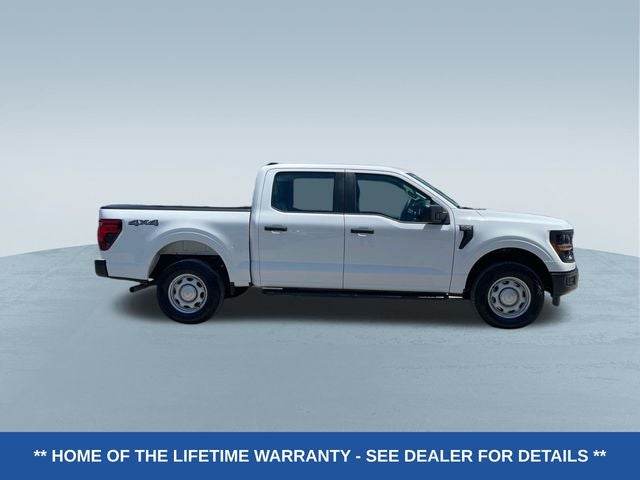 ford f-150 2024 1FTEW1LP3RKF77173 image