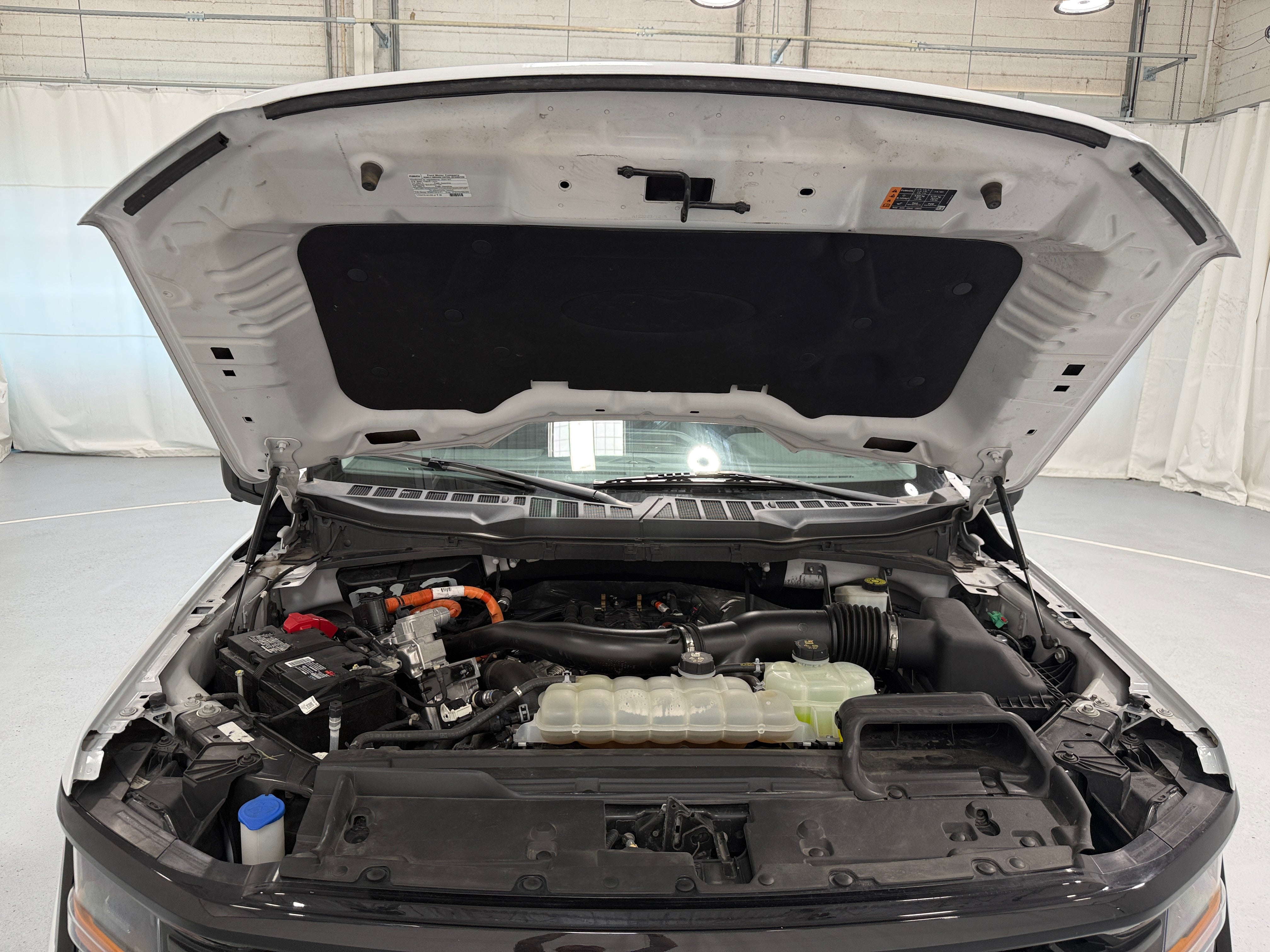 ford f-150 2024 1FTFW3LD8RFA06194 image ford f-150 2024 1FTFW3LD8RFA06194 image