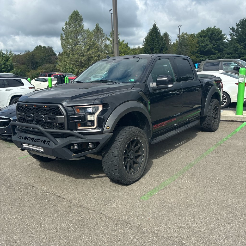 ford f-150 2020 1FTFW1RG9LFA76798 image