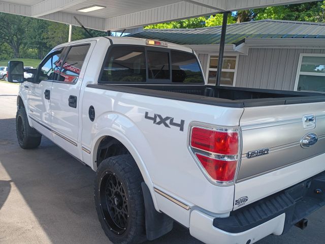 ford f-150 2013 1FTFW1ET0DFC96562 image ford f-150 2013 1FTFW1ET0DFC96562 image