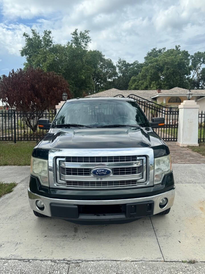 ford f-150 2013 1FTFX1CT0DFD77030 image ford f-150 2013 1FTFX1CT0DFD77030 image