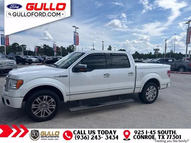 ford f-150 2010 1FTFW1CV5AFA37193 image