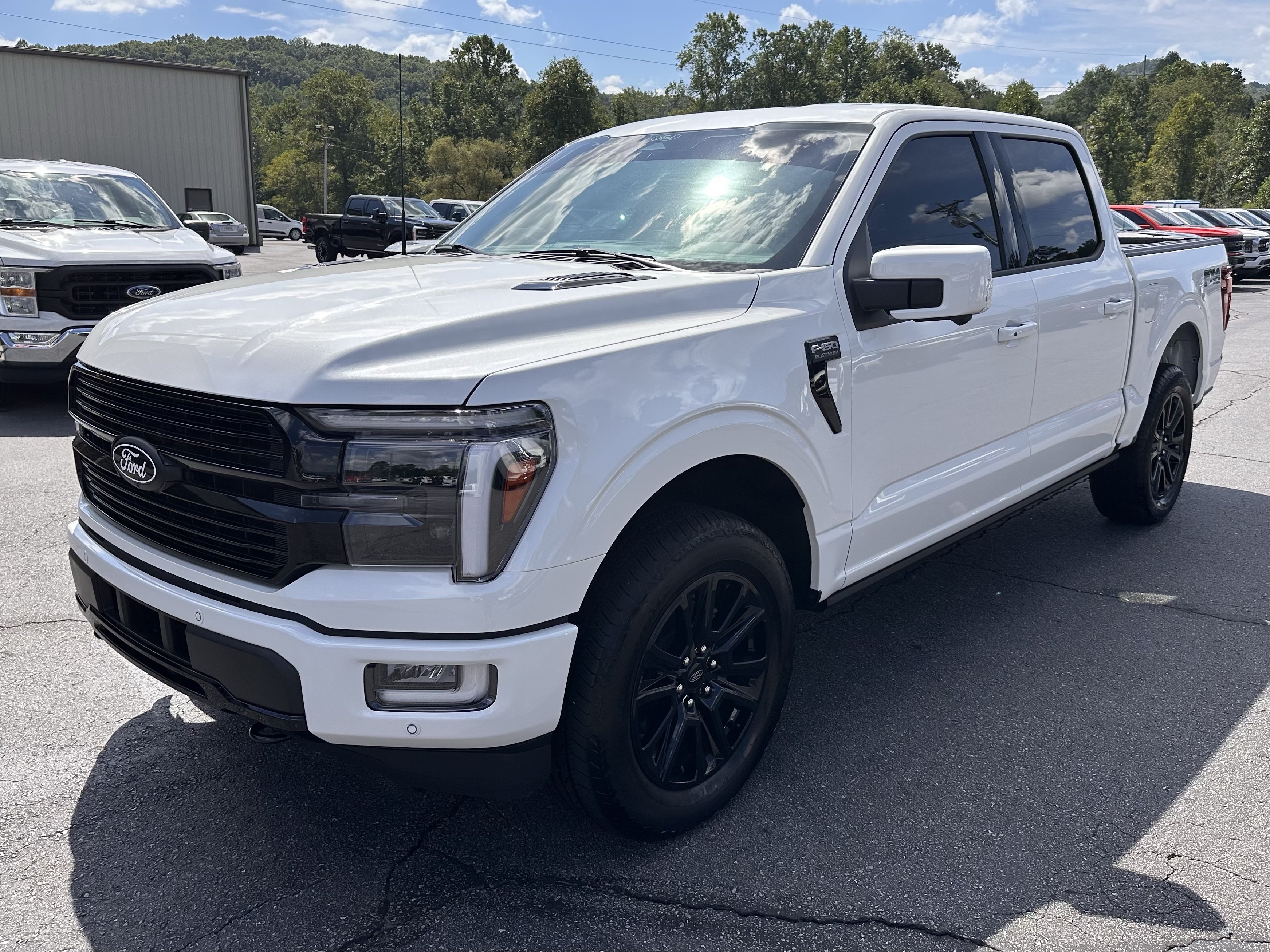 ford f-150 2025 1FTFW7L89SFC75997 image ford f-150 2025 1FTFW7L89SFC75997 image