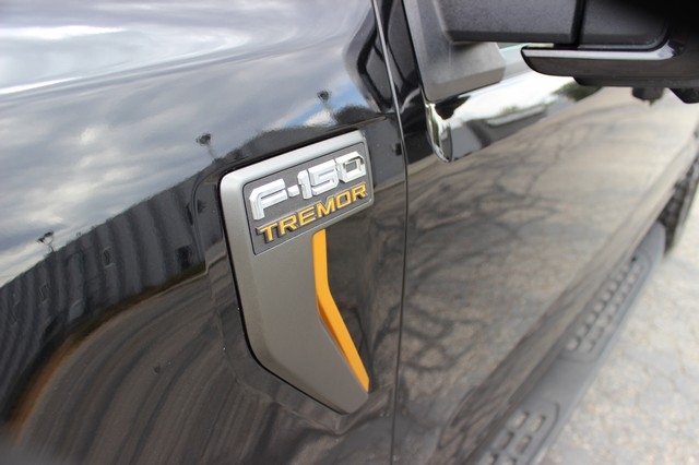 ford f-150 2025 1FTFW4L88SFB99302 image ford f-150 2025 1FTFW4L88SFB99302 image