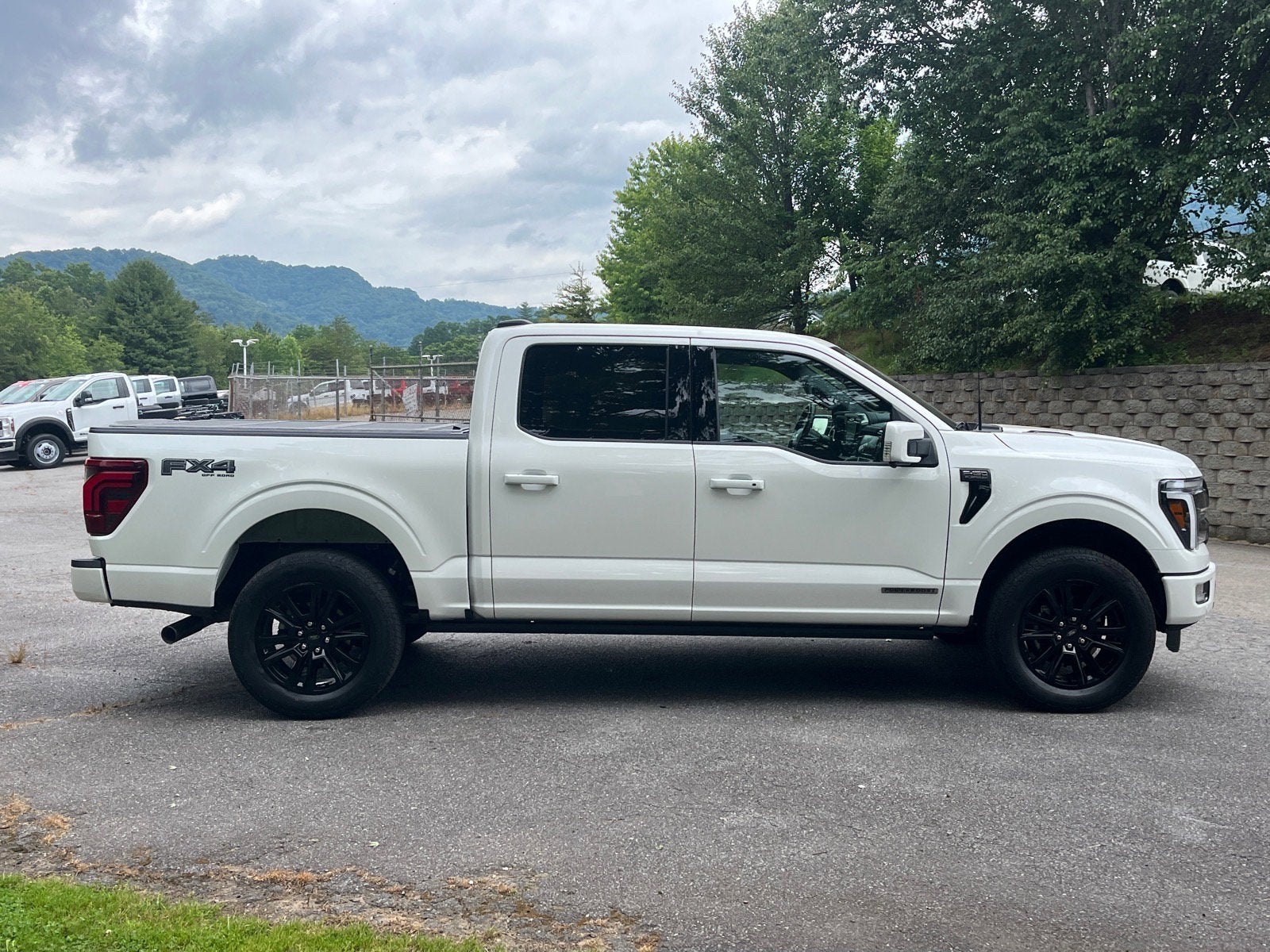 ford f-150 2025 1FTFW7LDXSFC20262 image ford f-150 2025 1FTFW7LDXSFC20262 image