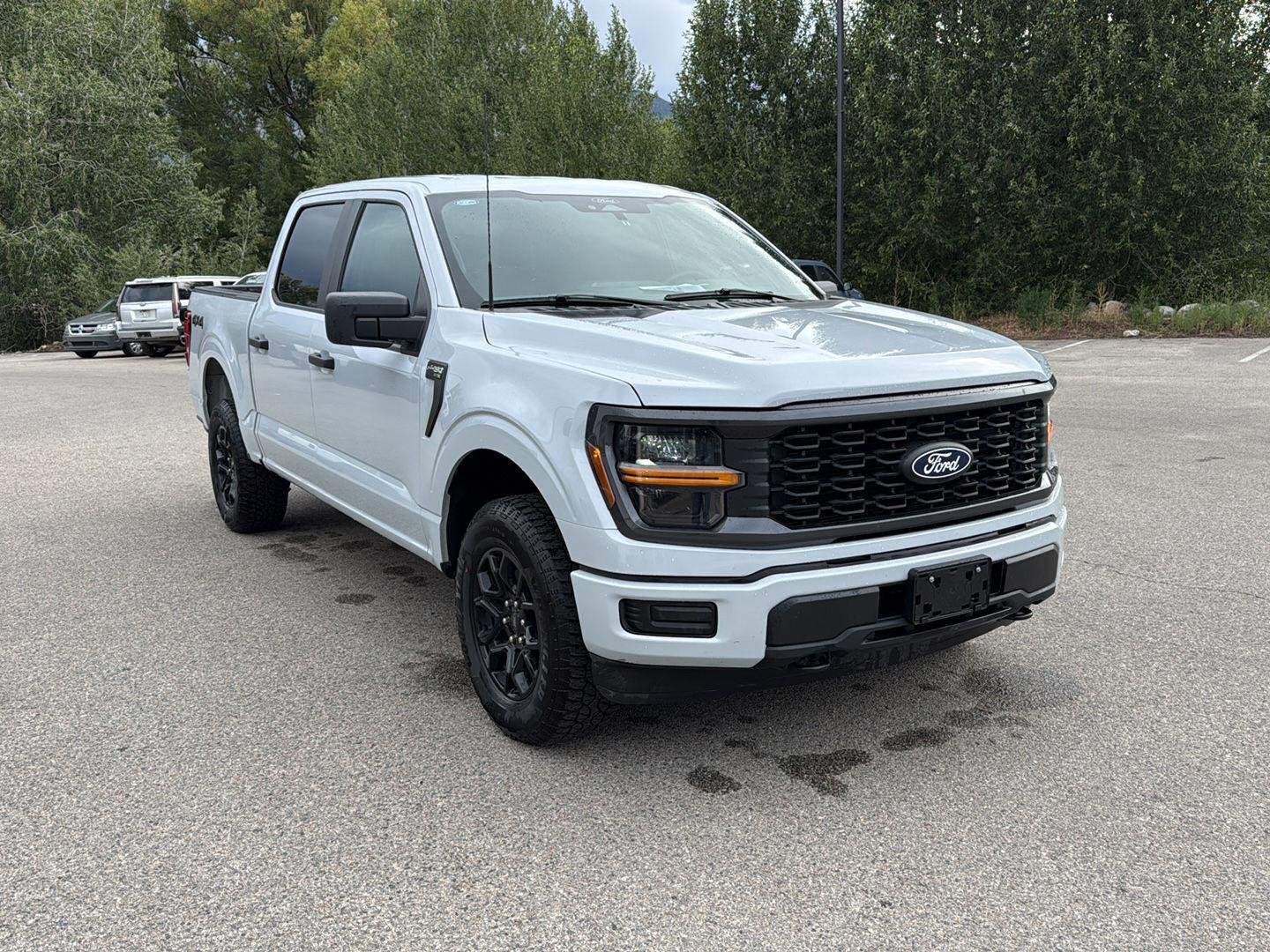 ford f-150 2025 1FTEW2LP4SKD48397 image ford f-150 2025 1FTEW2LP4SKD48397 image