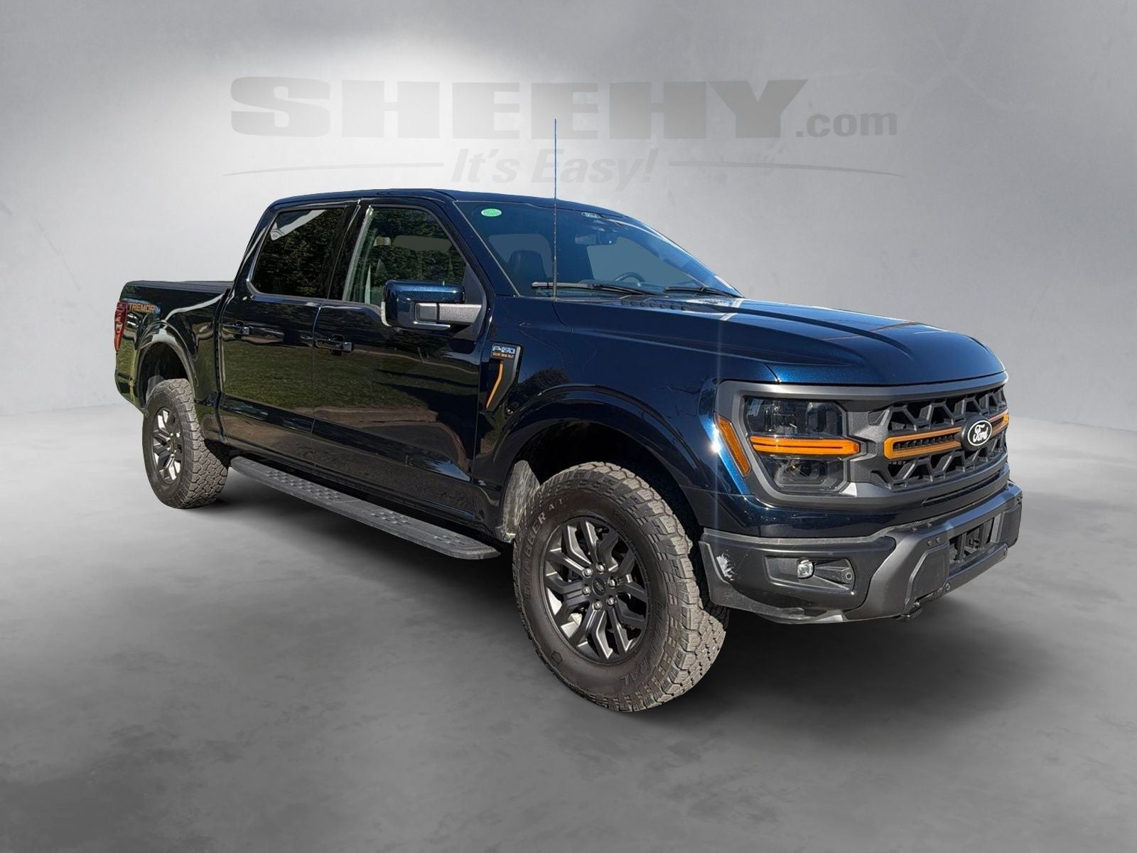 ford f-150 2025 1FTFW4L80SFB36839 image