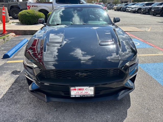 ford mustang 2023 1FA6P8TH1P5107244 image