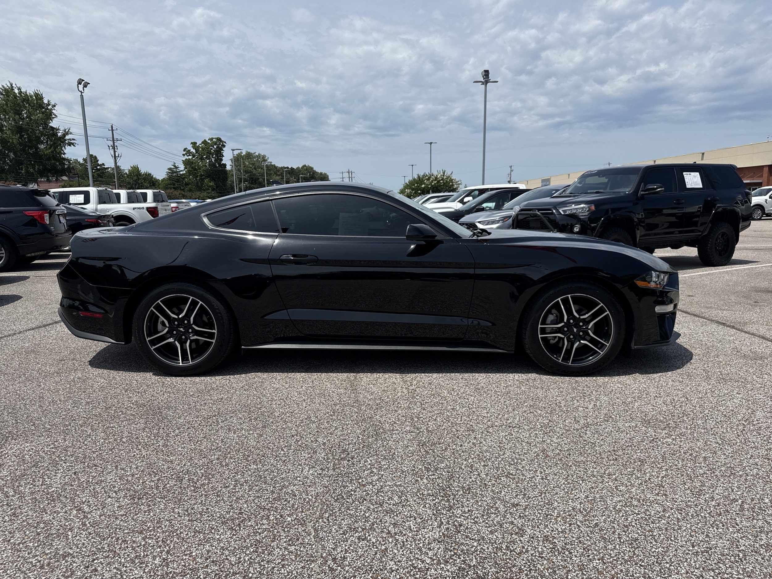 ford mustang 2023 1FA6P8TH1P5106840 image