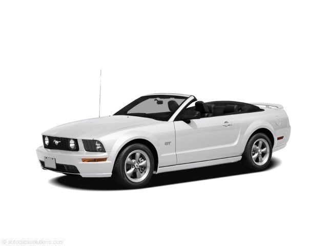 ford mustang 2008 1ZVHT84N285131361 image ford mustang 2008 1ZVHT84N285131361 image